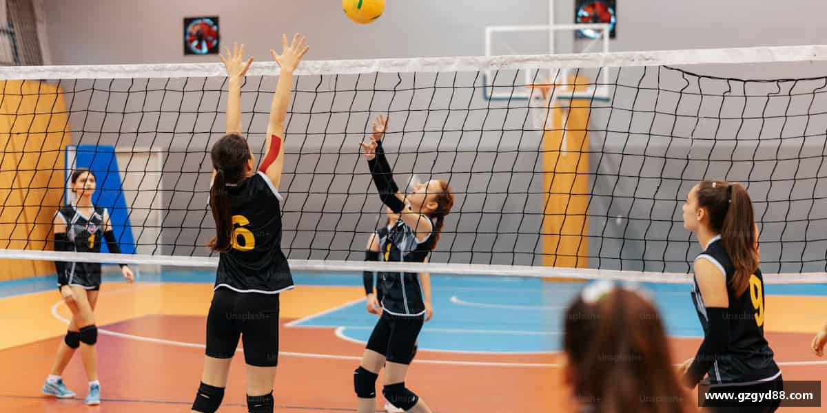 解读球王会体育